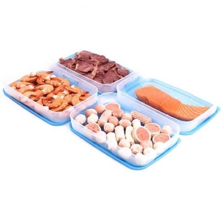 Hộp Trữ Đông Freezermate Dẹt 650ml Tupperware, Hộp Nhựa Nguyên Sinh