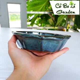 chậu cây bonsai  hình chiếc lá