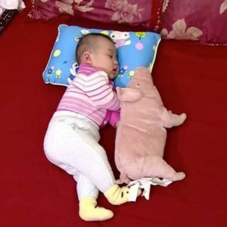 Gối đinh lăng cho bé, thơm lưng mùi đinh lăng.

- Chất liệu: vỏ gối vải cotton, ruột gối vải cotton, tỷ lệ đinh ........