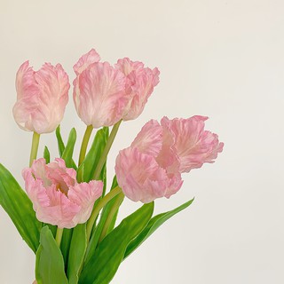 [CÓ SẴN] BÓ HOA TULIP LỤA ẨM - TULIPS BOUQUET