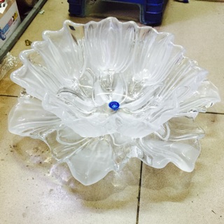 Bộ bát đĩa thả hoa trắng