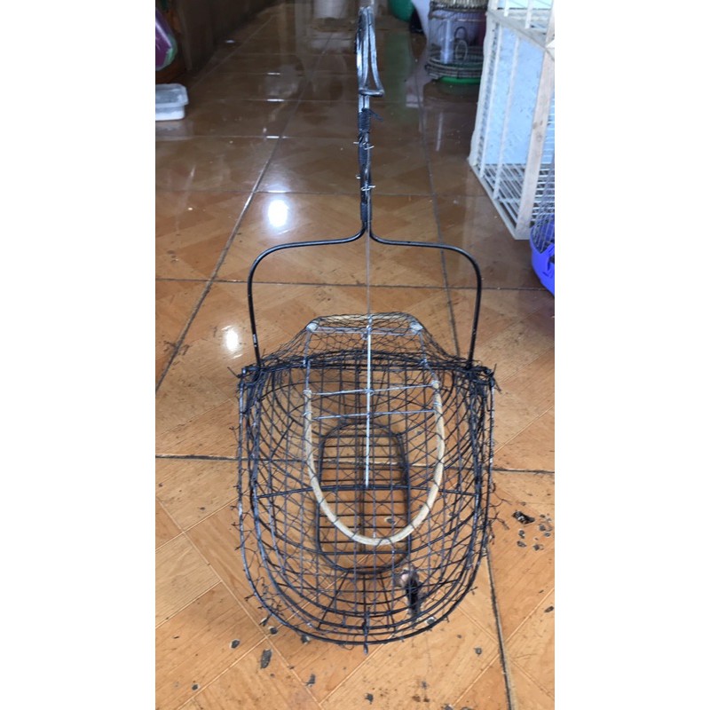 Lụp đen bẫy chào mào, bông lau....