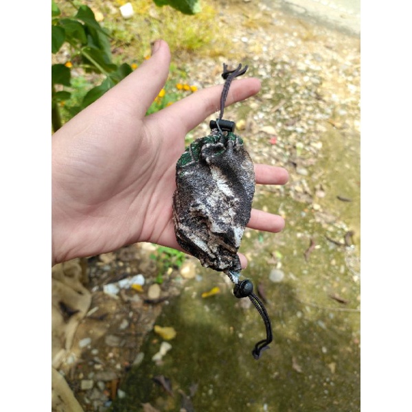 10 Túi đựng chim chào mào