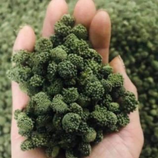 Nụ hoa tam thất  500g