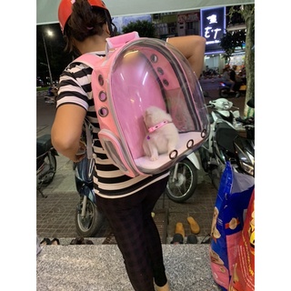 Balo mèo trong suốt cao cấp