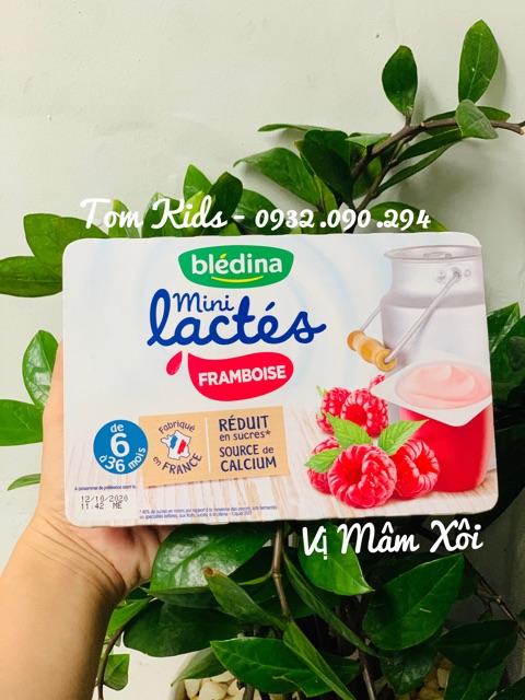 SỮA CHUA BLEDINA PHÁP 6*55g