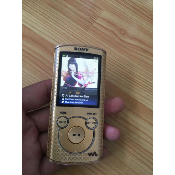 Sony Walkman NWZ-E463