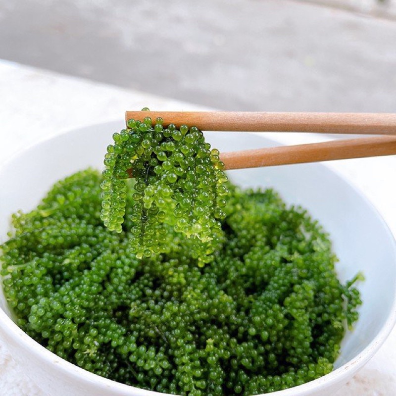 [Tặng kèm  nước sốt]- HỘP RONG NHO TÁCH NƯỚC HOGI-6 gói | BigBuy360 - bigbuy360.vn