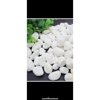 Sỏi Trắng Trắng Hồ Cá Cảnh ( Size 2-3cm ) 500g