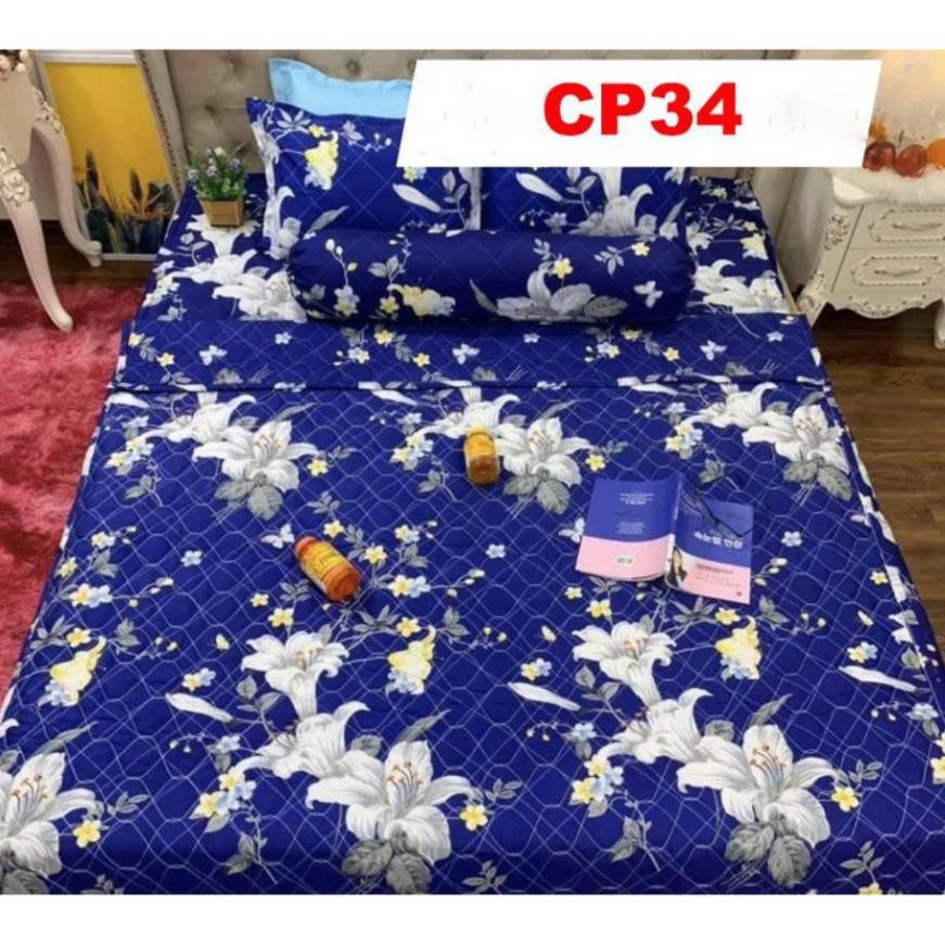 Ga Gối cao cấp giá gốc Chăn trần 2 mặt cotton poly CP09 hàng đẹp sắc nét, màu sắc độc đáo cho phòng ngủ hiện đại