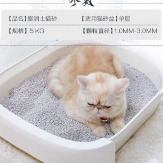5kg Cát vệ sinh cho mèo