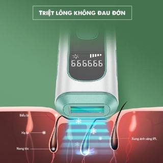 Máy Triệt Lông Cầm Tay Cá Nhân Cao Cấp
