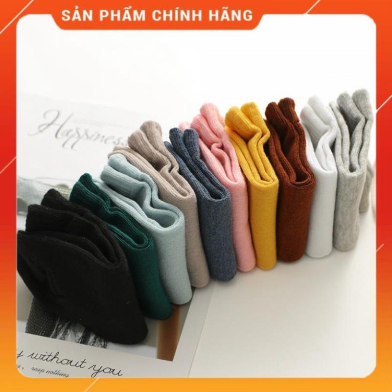 Set 10 đôi tất gấu siêu xinh