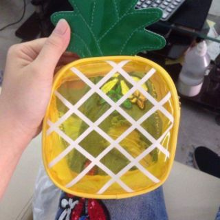 Túi dứa silicon