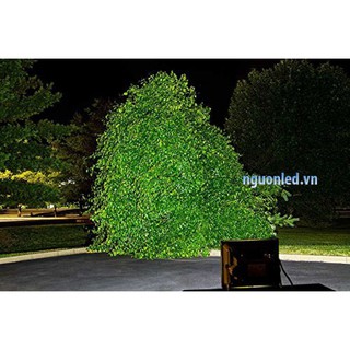 Đèn Pha Led 50W