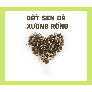 Đất Trộn Cao Cấp trồng Sen Đá , Xương Rồng ( Nhập SOENSALE5 để được giảm 5k hóa đơn 50k)