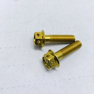Cl bộ 2 ốc vàng bắt heo dầu 8 li và 10 li