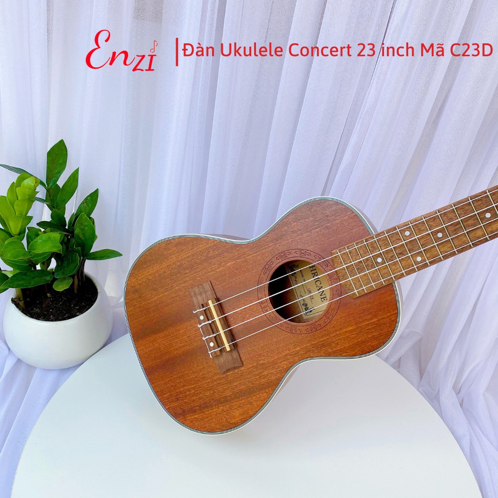 Đàn ukulele concert C23D Enzi 23 inch gỗ mộc trơn giá rẻ cho bạn mới bắt đầu tập chơi