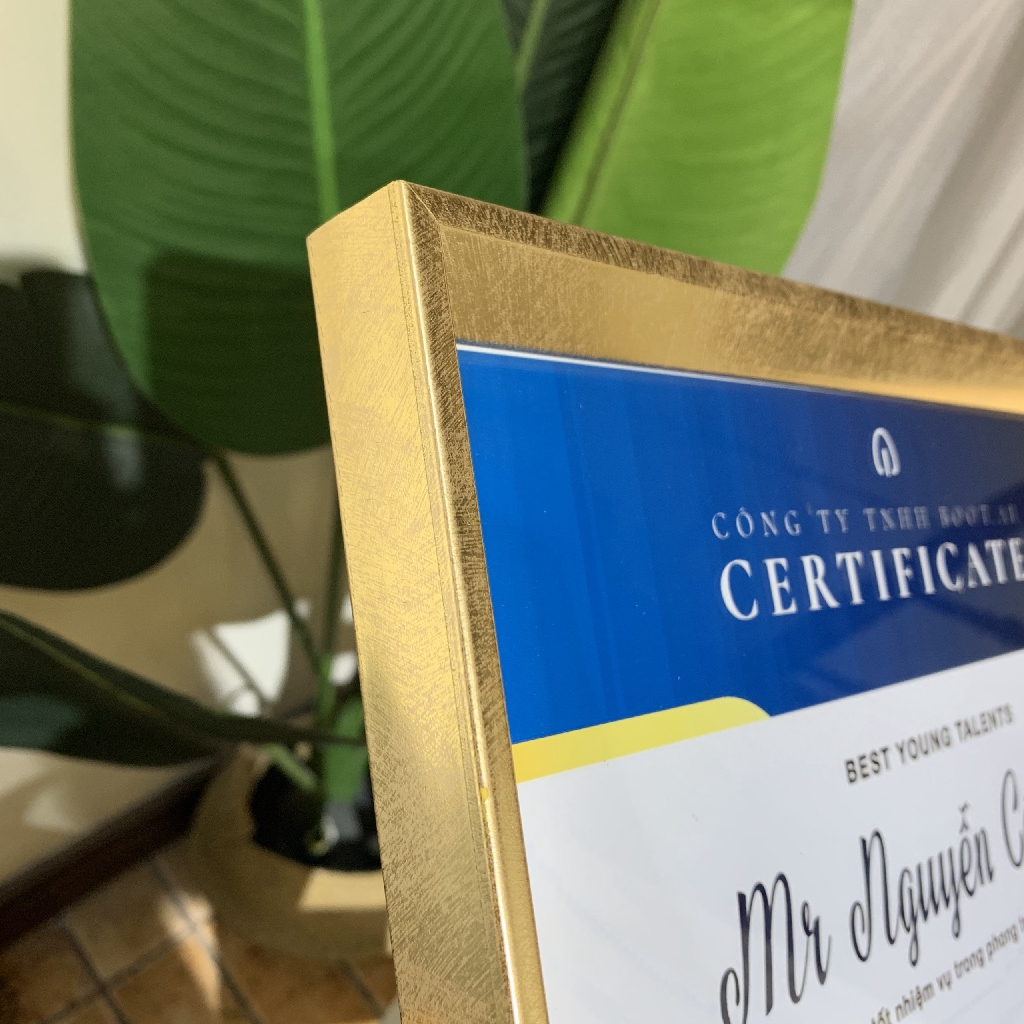 Khung bằng khen khung giấy khen vát viền mỏng cỡ A4 sang trọng | BigBuy360 - bigbuy360.vn