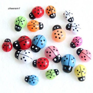 Bộ 100 bọ rùa mini nhiều màu sắc