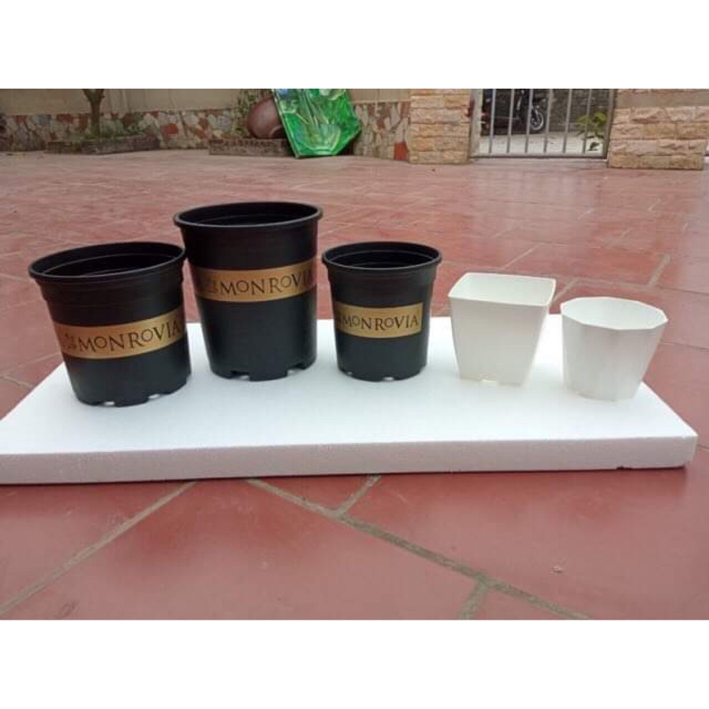Chậu nhựa trồng cây Monrovia trồng hoa cây cảnh hoa hồng đủ kích thước, hàng đẹp