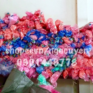 Mùng chụp Nhật (cssx chuyên mùng chup các loai)