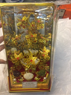 CÂY VÀNG CÂY BẠC PHONG THUỶ (CÂY TÀI LỘC)