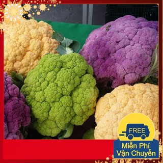 Hạt Giống Súp Lơ Mix