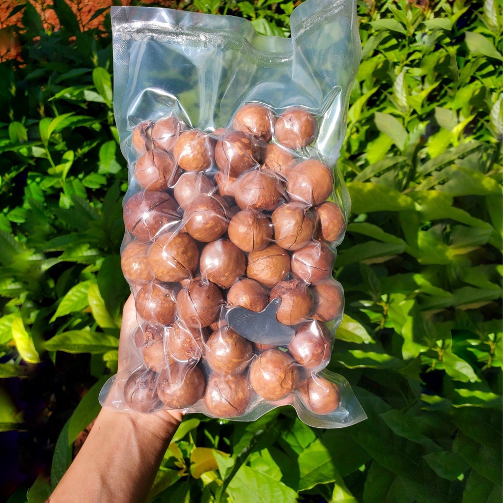 Hút chân không hạt macca và gửi đi Anh