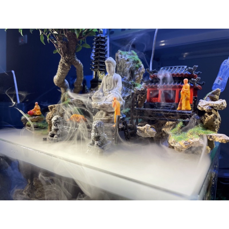 Hồ, bể bán cạn tiểu cảnh mini 30cm phong cách Kelsey Mặt Trời Vàng