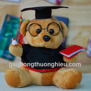 Gấu bông tốt nghiệp 30cm lông mịn giá rẻ