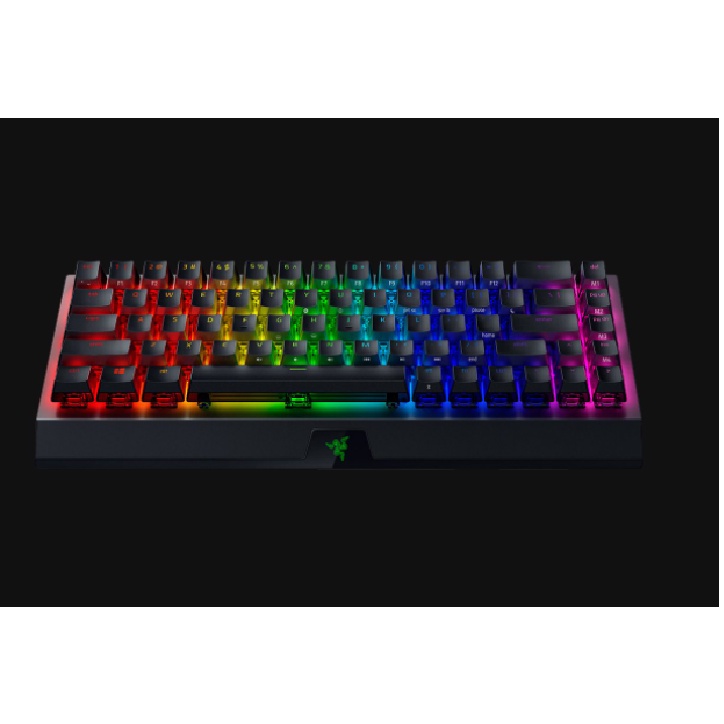 Bàn phím Razer BlackWidow V3 Mini HyperSpeed-Phantom Pudding Edition-65% Wireless Mechanical-Green Switch_RZ03-03892000