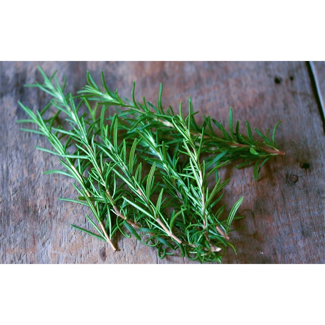 Lá hương thảo rosemary- gia vị thảo dược của cuộc sống hiện đại 500gr