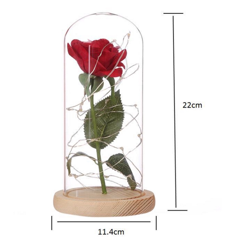 Bình đựng hoa hồng thủy tinh có dây đèn đế bằng gỗ thích hợp làm quà sinh nhật/Giáng Sinh/Valentine
