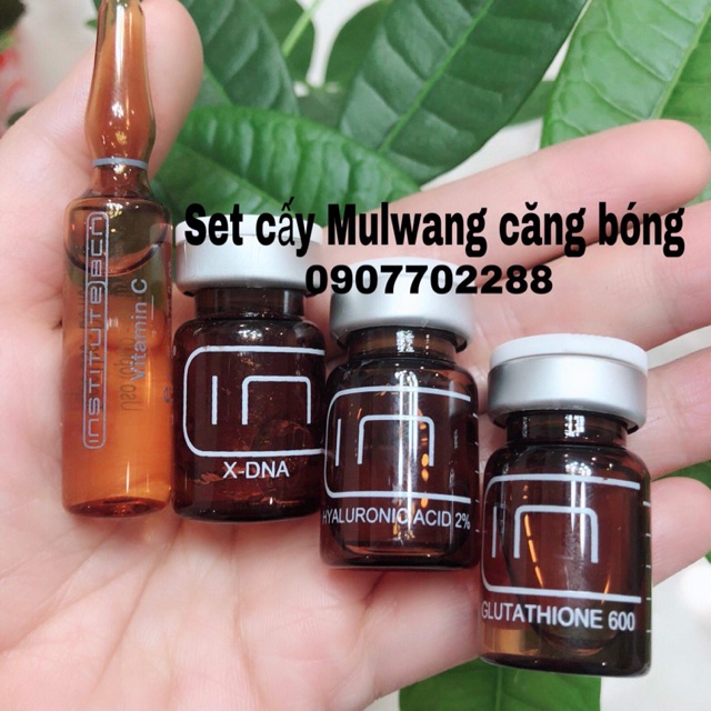 Combo tinh chất căng bóng MULWANG trắng da Bcn Tây Ban Nha