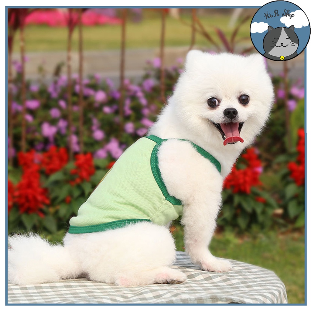 Áo Ba Lỗ Sát Nách Thiết Kế Xinh Xắn Cho Thú Cưng Áo Mùa Hè Cho Chó Mèo