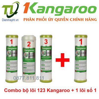 Combo 4 quả lọc nước 123+1