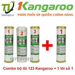 Combo 4 quả lọc nước 123+1