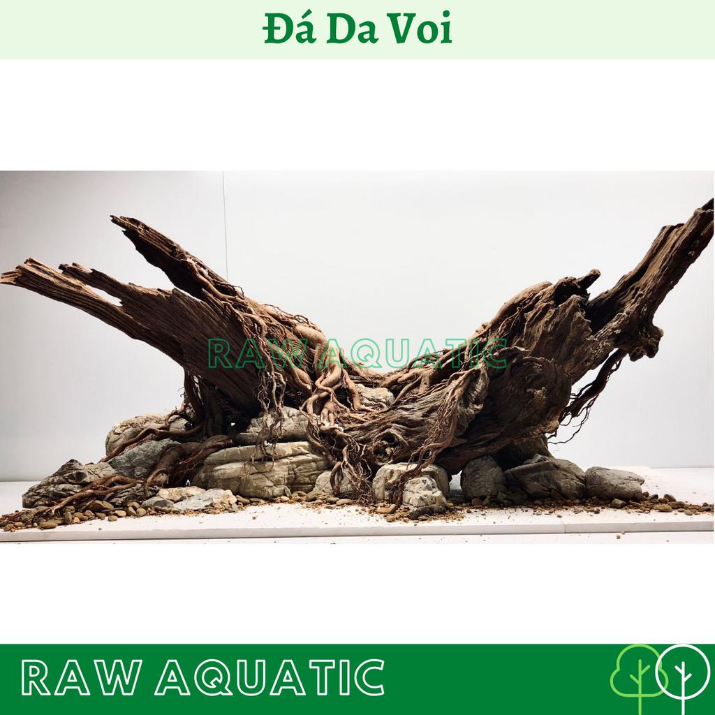 Đá Da Voi Trang Trí, Setup Bể Cá Cảnh, Bể Thủy Sinh