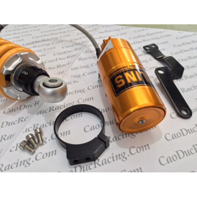 SIÊU RẺ - [Sale Sốc] Phuộc bình dầu Ex150 Ex135 Winner thái lan - Ohlins núm bông mai tăng chỉnh vàng - giá sỉ