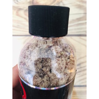 mồi bột câu cá tơ nhện