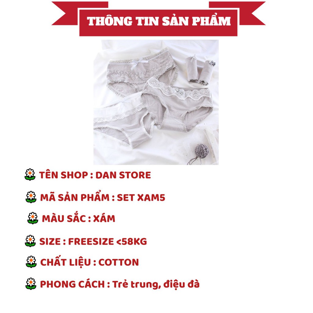 Quần Lót Nữ - Quần Lót Nữ Cotton tông xám 100% kháng khuẩn thoáng mát gợi cảm DAN STORE MÃ XAM5