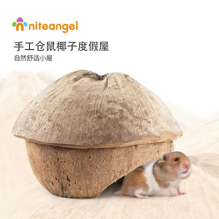 [ 2 TẶNG 1 ] nhà hang dừa cho hamster / sóc / bò sát