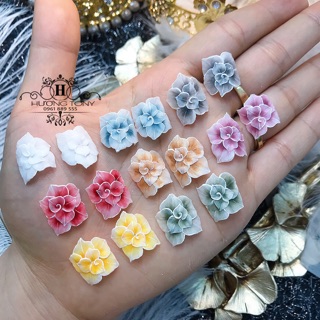 Hoa bột ẩn xoáy chân, ẩn chân