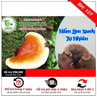 Nấm Lim Xanh Rừng 100% Tự Nhiên 500g - Hàng Cao Cấp