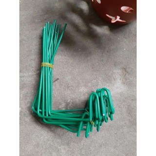 1 Que kẹp chậu giữ kie