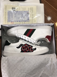Giày GUCCI rắn cao cấp