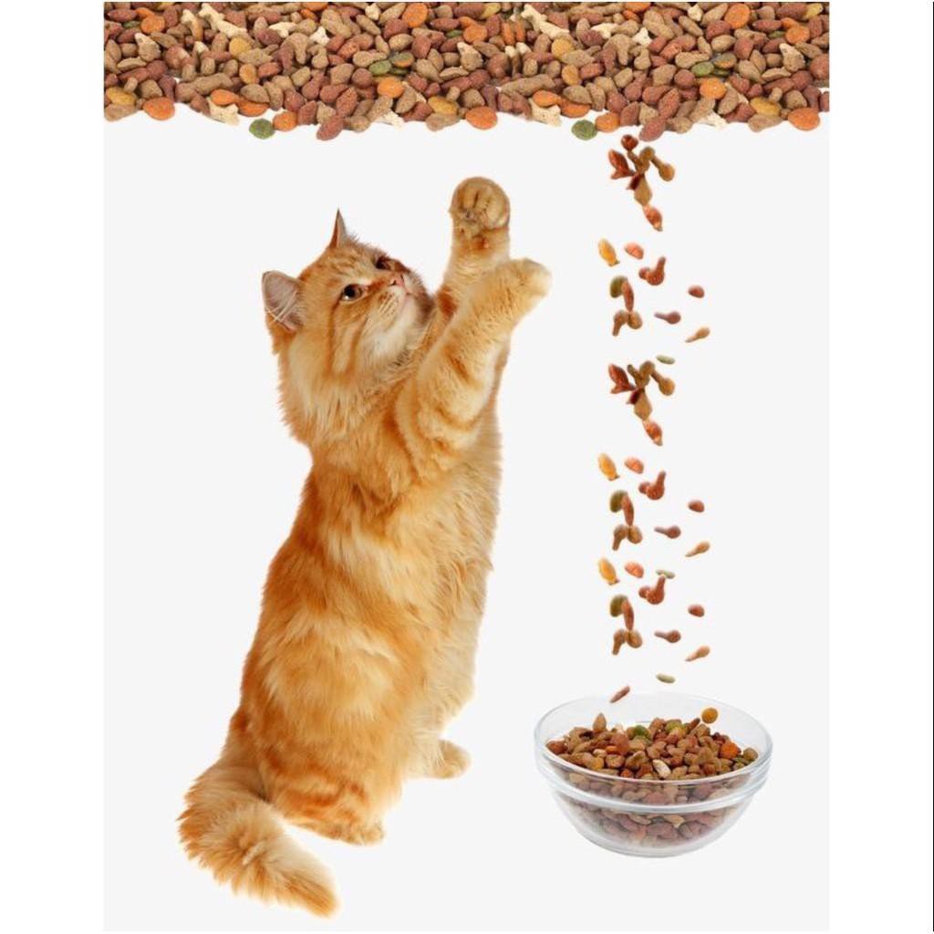 Thức Ăn Cho Mèo, Hạt Cho Mèo, Catrang Kitten_1.5kg