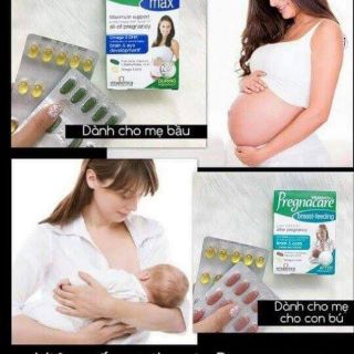 Bổ bầu Pregnacare max/plus