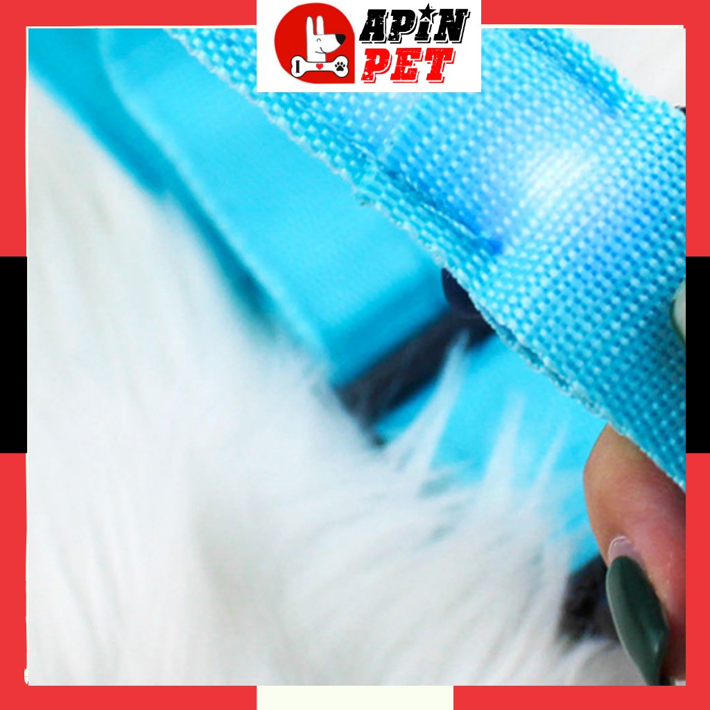 Vòng Cổ Cho Chó Có Đèn Led-Shop Apin Pet